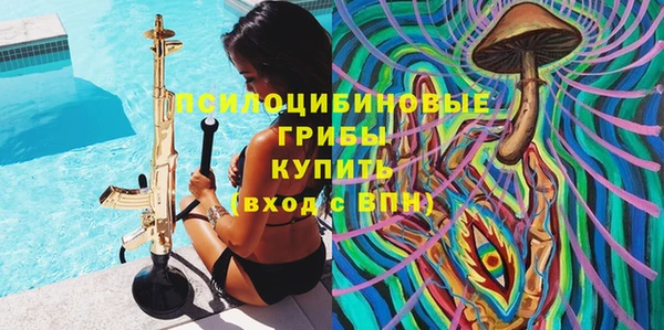 PSILOCYBIN Алексин