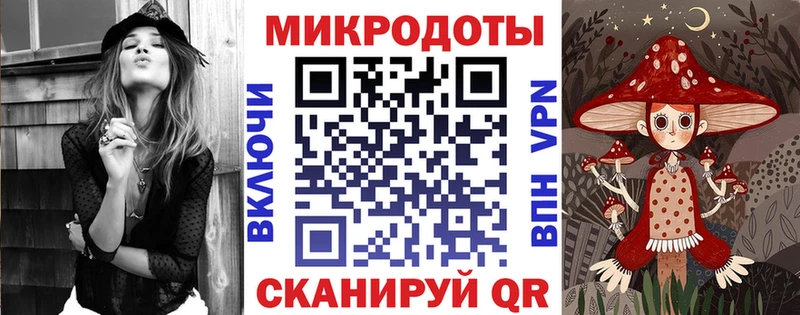 как найти наркотики Приморск Галлюциногенные грибы мицелий